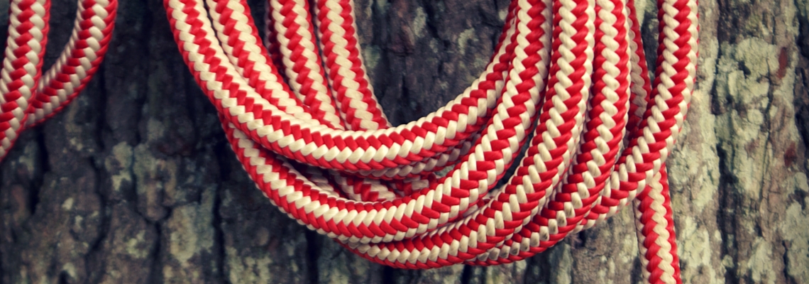 Some coiled re and white rope against a tree trunk