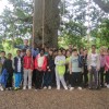 tree climbing school trip