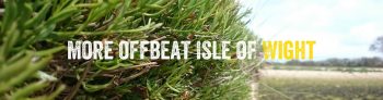More offbeat Isle of Wight - different things to do on the Isle of Wight foraging walk