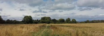 The Barnsley Trail, a beautiful Isle of Wight walk