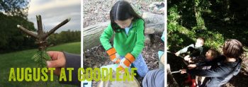 bushcraft