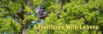 people high in a tree